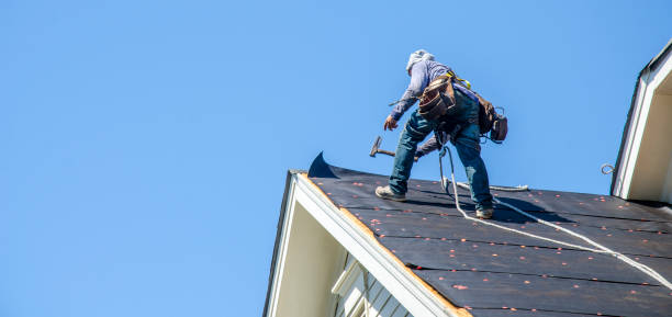 Best Local Roofing Companies  in Hawley, MN